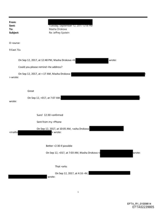 Preview of EFTA02239805