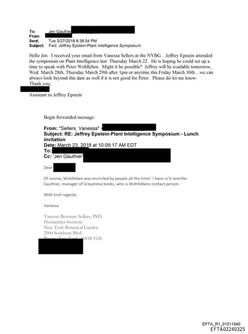 Preview of EFTA02240325