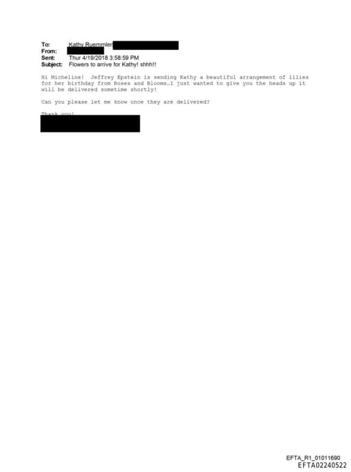 Preview of EFTA02240522