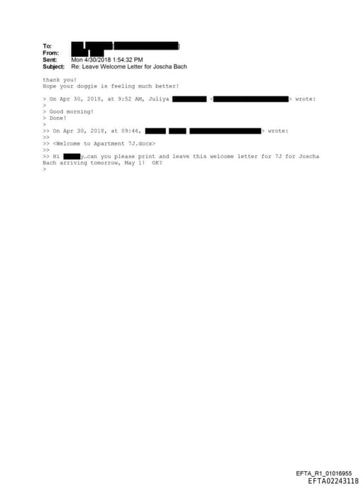 Preview of EFTA02243118