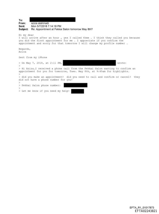 Preview of EFTA02243821