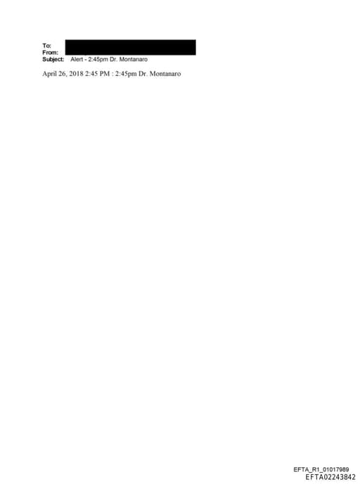 Preview of EFTA02243842