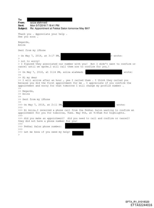 Preview of EFTA02244016