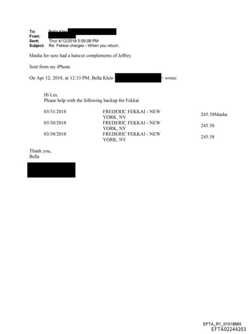 Preview of EFTA02244203