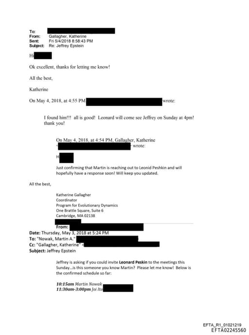 Preview of EFTA02245560