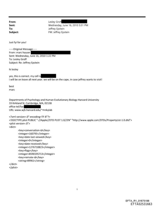 Preview of EFTA02531663