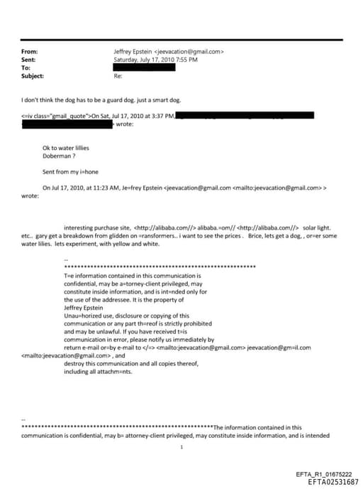 Preview of EFTA02531687