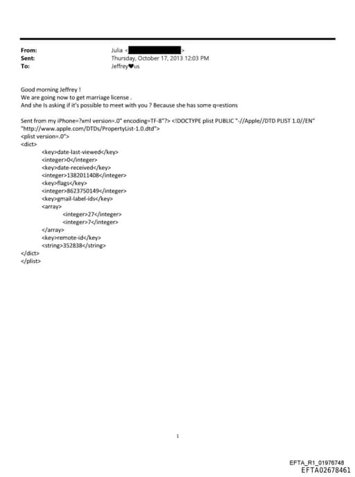 Preview of EFTA02678461