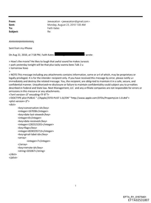 Preview of EFTA02531807