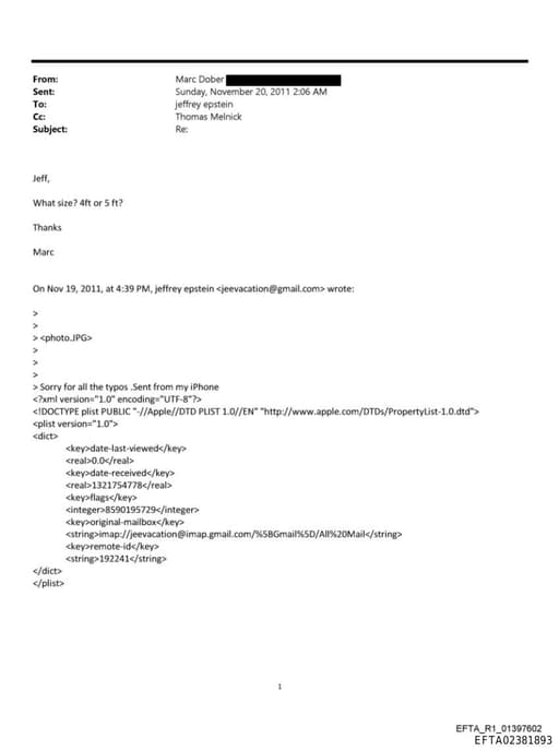 Preview of EFTA02381893