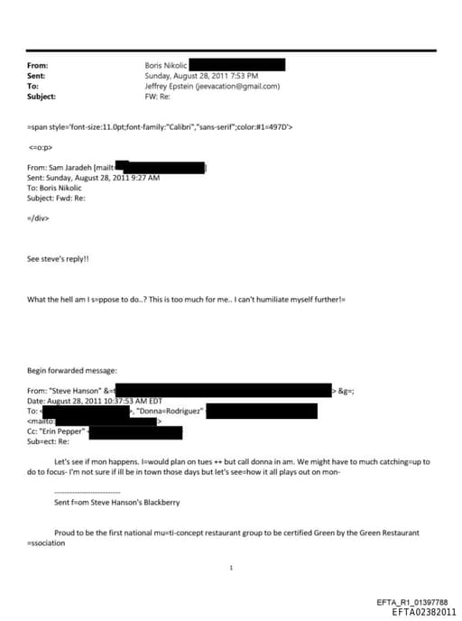 Preview of EFTA02382011