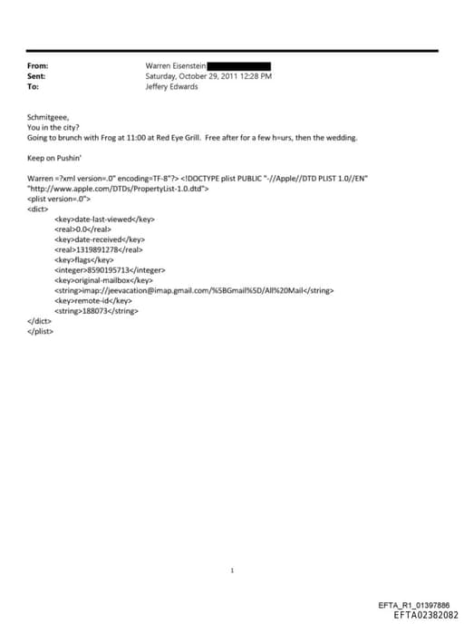 Preview of EFTA02382082