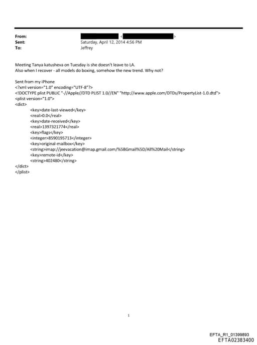 Preview of EFTA02383400