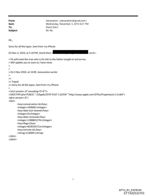 Preview of EFTA02532743