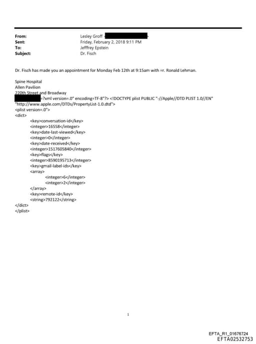 Preview of EFTA02532753