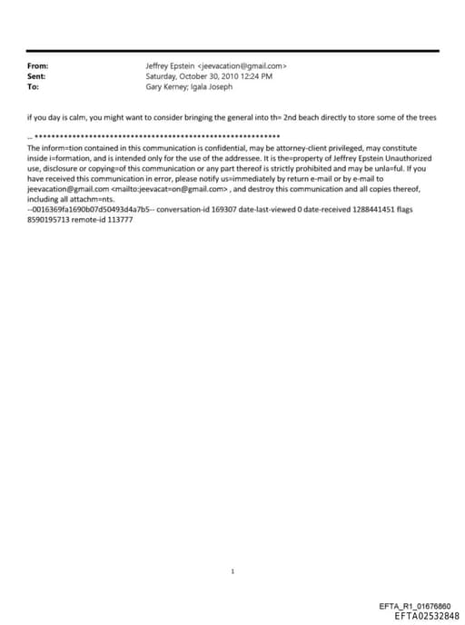 Preview of EFTA02532848