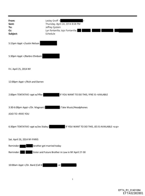 Preview of EFTA02383901