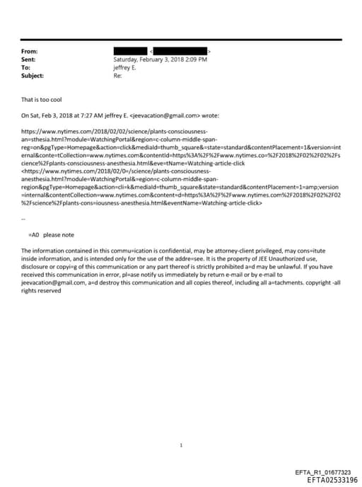 Preview of EFTA02533196