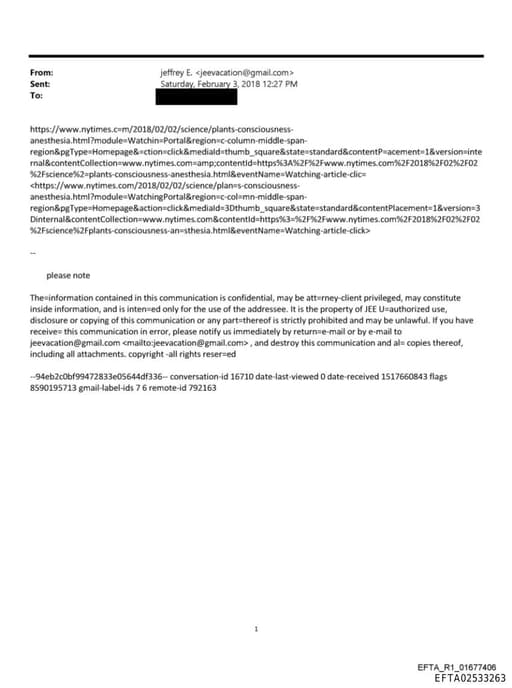 Preview of EFTA02533263