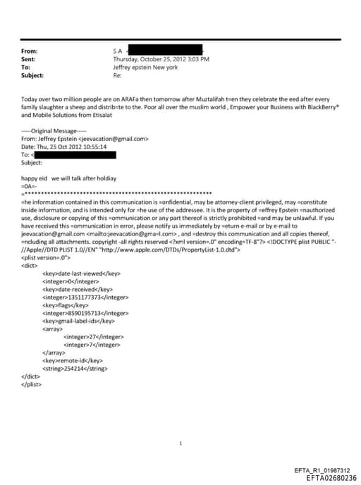 Preview of EFTA02680236