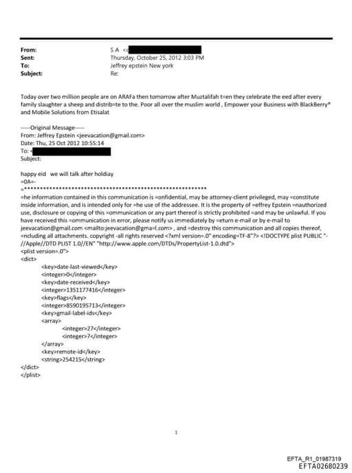 Preview of EFTA02680239