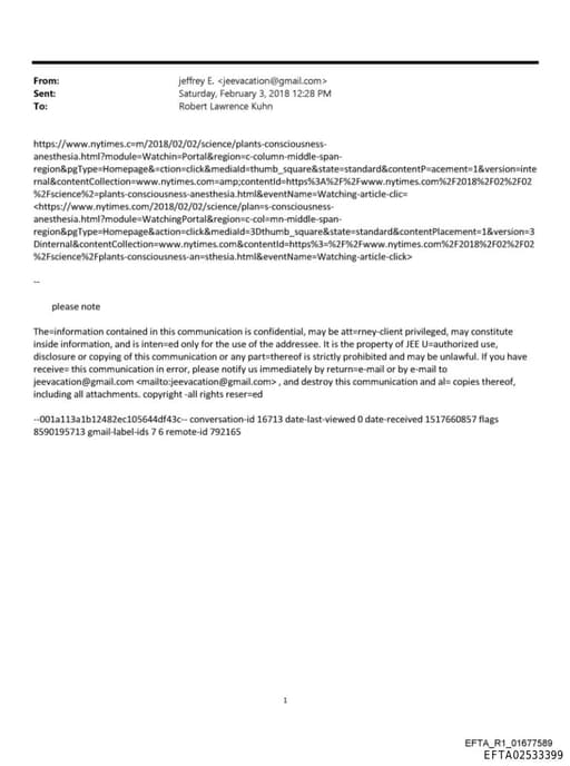 Preview of EFTA02533399