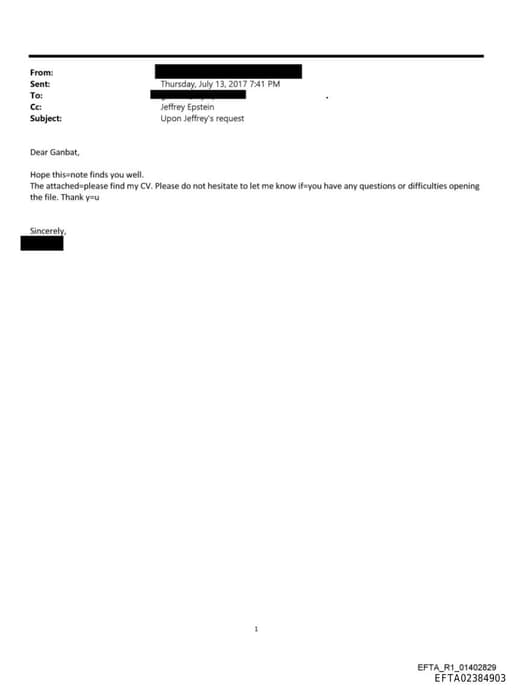 Preview of EFTA02384903