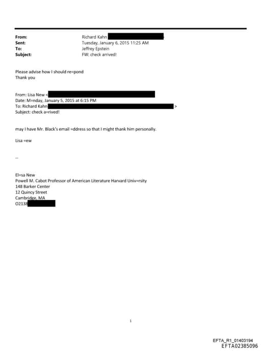 Preview of EFTA02385096