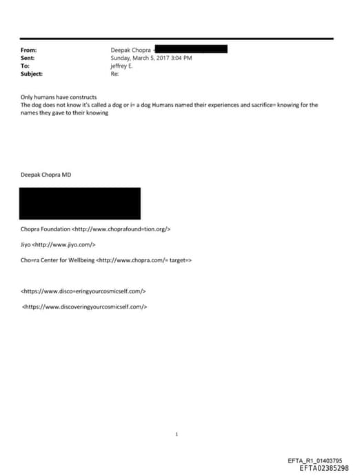 Preview of EFTA02385298