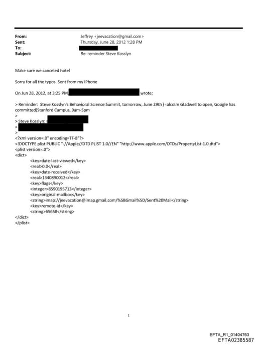 Preview of EFTA02385587