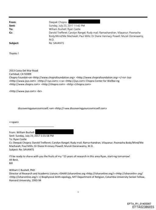 Preview of EFTA02386055