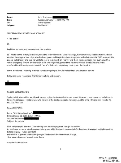 Preview of EFTA02534261