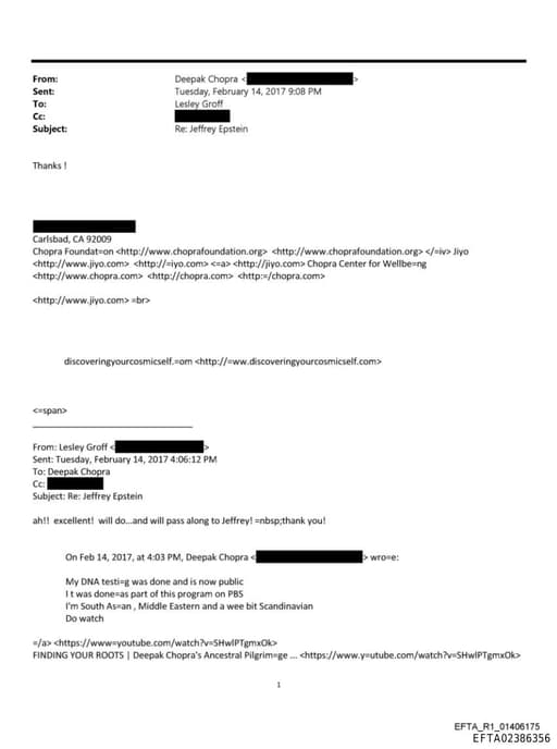 Preview of EFTA02386356