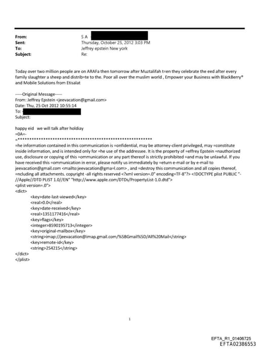 Preview of EFTA02386553