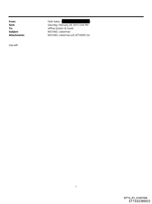 Preview of EFTA02386833