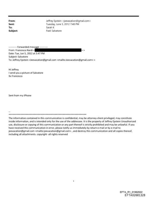 Preview of EFTA02681328