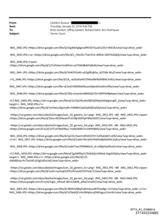 Preview of EFTA02534880