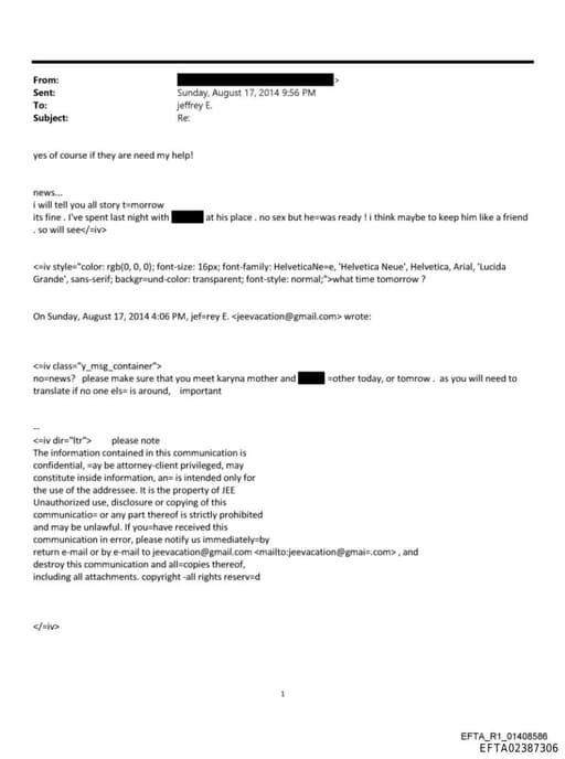 Preview of EFTA02387306