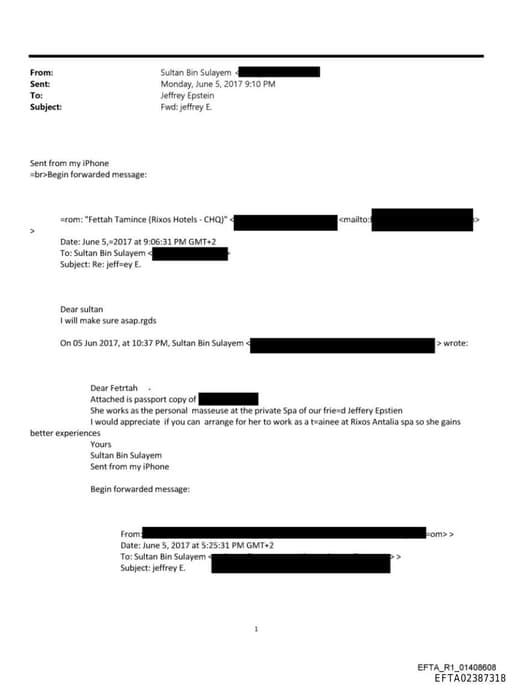 Preview of EFTA02387318