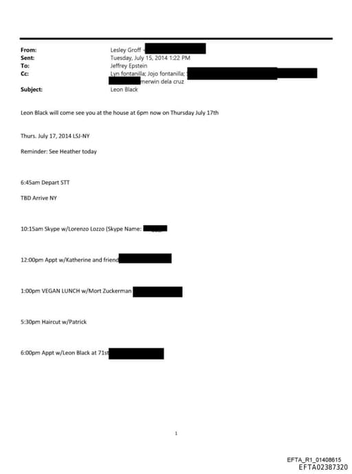 Preview of EFTA02387320