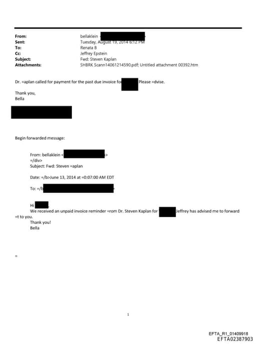 Preview of EFTA02387903