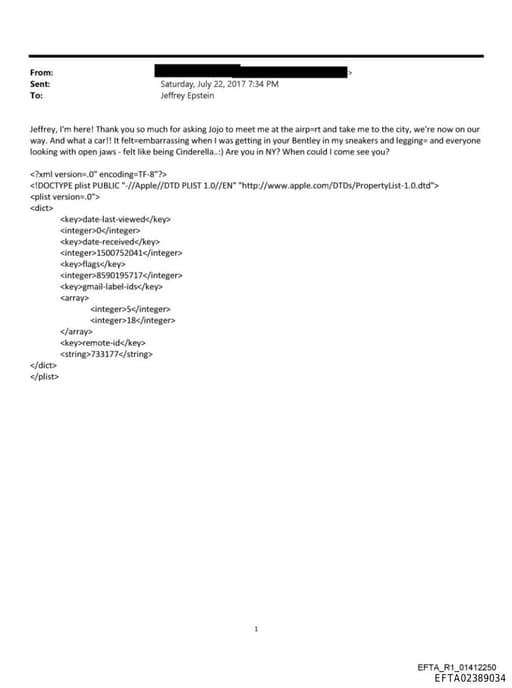 Preview of EFTA02389034