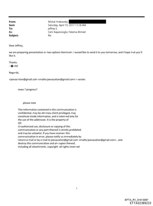 Preview of EFTA02389233