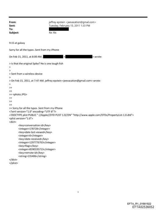 Preview of EFTA02536052