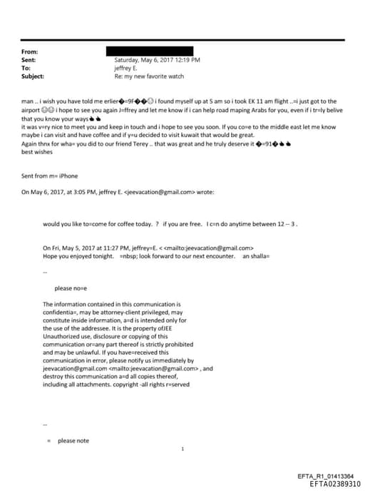 Preview of EFTA02389310
