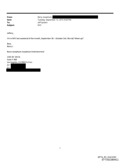 Preview of EFTA02389411