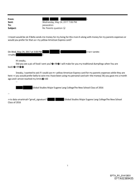 Preview of EFTA02389435