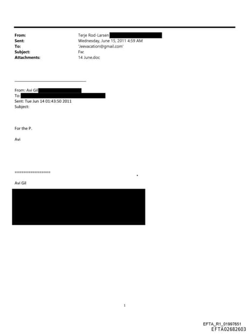 Preview of EFTA02682603