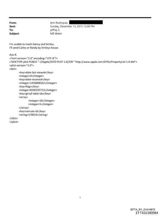 Preview of EFTA02389984