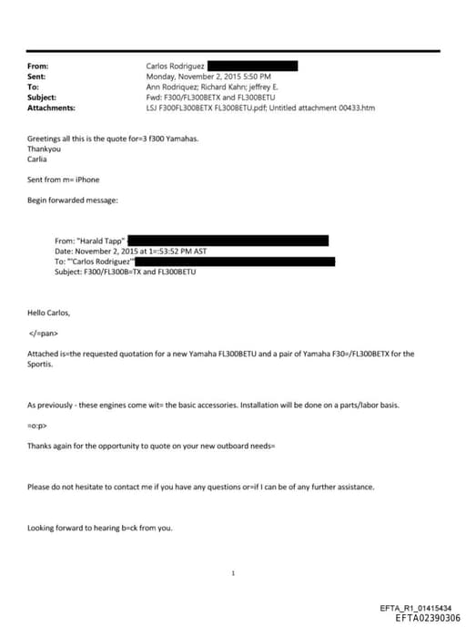 Preview of EFTA02390306